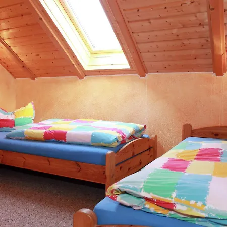 Modern Holiday In Near Forest
