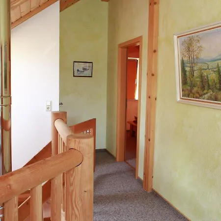 Modern Holiday In Near Forest *